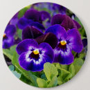 Recherche de la californie badges Pavots