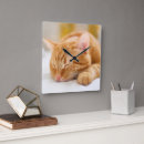 Suche nach tabbykatzen poster Junges tier