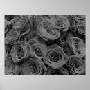 Suche nach graue rose poster Modern