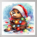 Recherche de castors posters Faune