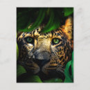 Recherche de jaguar sauvage cartes postales Jungle