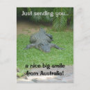 Suche nach krokodile postkarten Kräuseln