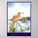 Suche nach florida vogel poster Mangrove