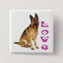 Recherche de berger badges Chiot