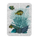 Suche nach muscheln magnete Antike