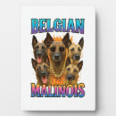 Recherche de portrait de loup plaques Chiot