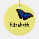 Suche nach blauer morpho schmetterling Tropisch