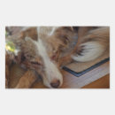 Suche nach sleeping aufkleber Hund