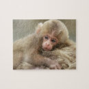 Recherche de singe puzzles Mammifère