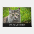 Recherche de humour noir chat terrasses jardins Animaux