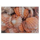 Suche nach florida key west florida untersetzer East