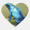 Recherche de grenouille bleue autocollants Amphibien