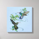 Suche nach kolibris leinwandbilder Tiere