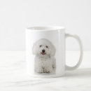 Recherche de la frise tasses Chiot