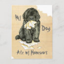 Recherche de chien de newfie cartes postales Pour tous