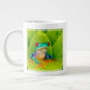 Recherche de rica tasses Agalychnis callidryas