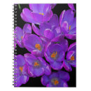 Suche nach krokus kleine notizbücher Botanisch
