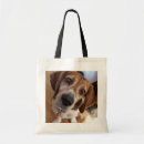 Suche nach hundebild taschen Welpen