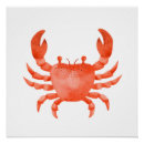 Recherche de crustac posters Aquarelle