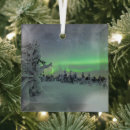 Recherche de aurora ornements Paysage