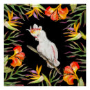 Recherche de dessin perroquet posters Aquarelle