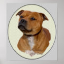 Suche nach bullterrier poster Niedlich