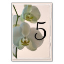 Suche nach rosa orchidee tischkarten Orchideen