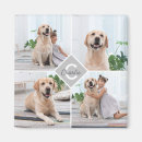 Recherche de dog magnets Dogs