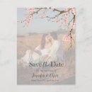 Recherche de blossom cartes postales Sakura