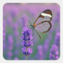 Recherche de ailes de papillon autocollants Toute personne