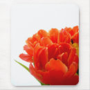 Recherche de tulipe orange tapis souris Tulipes