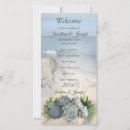 Recherche de aloès cartes postales Succulents