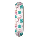 Recherche de oiseau skateboards Plume