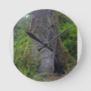 Suche nach fichte wanduhren Wald