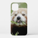 Recherche de kawaii iphone coques Nature