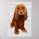 Suche nach cocker spaniel hund poster Tiere