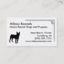 Recherche de boston ma cartes visite Chien