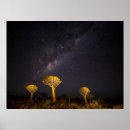 Recherche de quiver posters Keetmanshoop