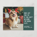 Suche nach frech postkarten hund