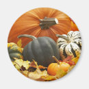 Suche nach oktober magnete Blätter