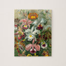 Recherche de orchid puzzles Pour elle