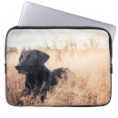 Suche nach labrador retriever laptop schutzhüllen Tier