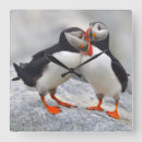 Suche nach atlantic wanduhren Bird