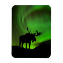 Suche nach alaska magnete Elch