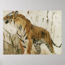 Recherche de animaux sauvages vintages posters Antique