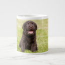 Suche nach hündchen tassen Haustier