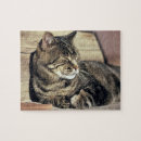 Suche nach schlafender puzzle Haustier