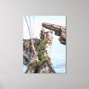 Recherche de visuels impressions sur toile Nature