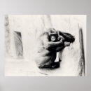 Recherche de singe gorille posters Ape