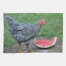 Suche nach geflügel geschirr tücher Huhn